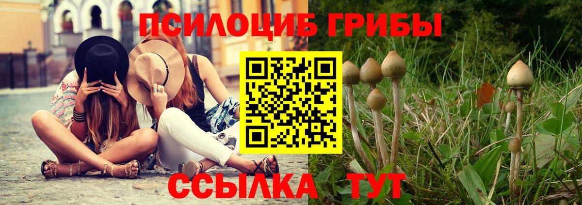 Заводоуковск  Псилоцибиновые грибы Magic Shrooms  Вход с VPN 